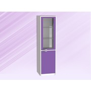 ШКАФ МЕДИЦИНСКИЙ ОДНОСТВОРЧАТЫЙ С РАСПАШНЫМИ ДВЕРЬМИ (стекло/металл) И ПОЛКАМИ АРТ. ШМР-1
